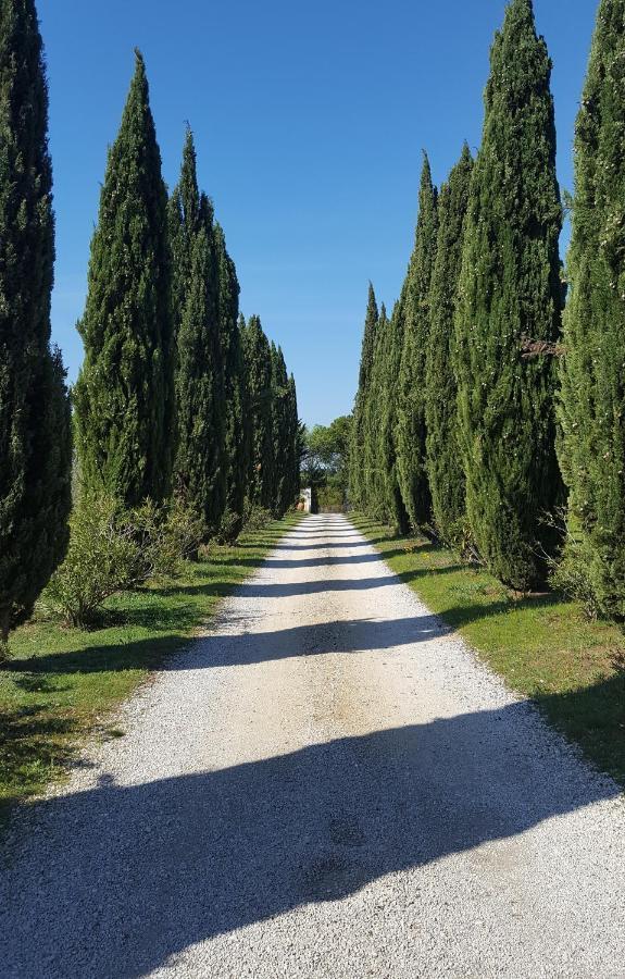 Mas Des Prevots B&B Noves Esterno foto
